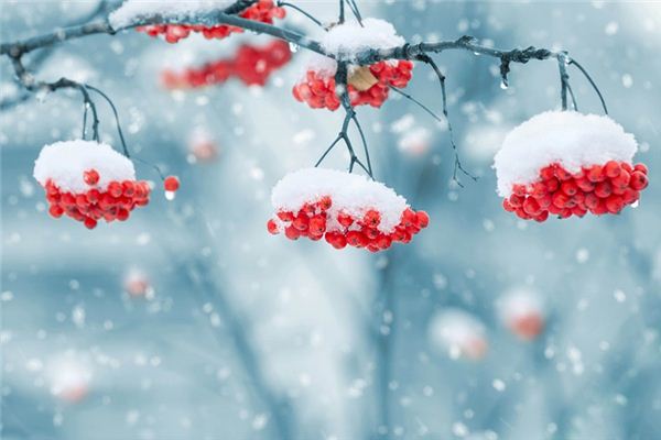 梦见下雪是什么意思?