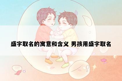 盛字取名的寓意和含义 男孩用盛字取名