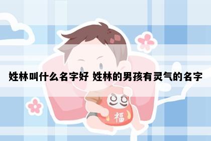 姓林叫什么名字好 姓林的男孩有灵气的名字