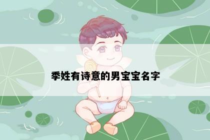 季姓有诗意的男宝宝名字