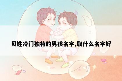 贝姓冷门独特的男孩名字,取什么名字好