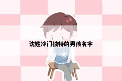 沈姓冷门独特的男孩名字