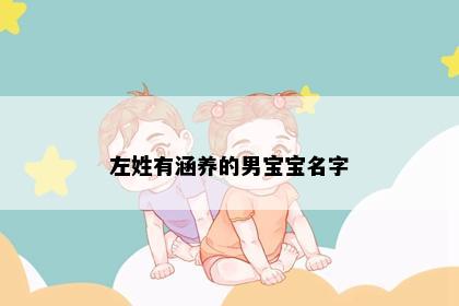 左姓有涵养的男宝宝名字