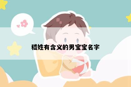 嵇姓有含义的男宝宝名字